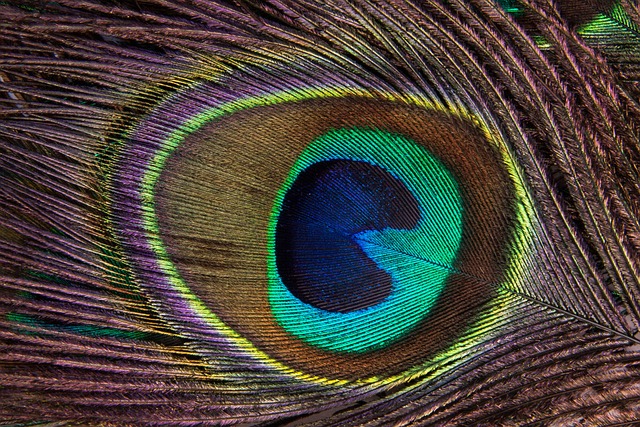Joyería La Cruz